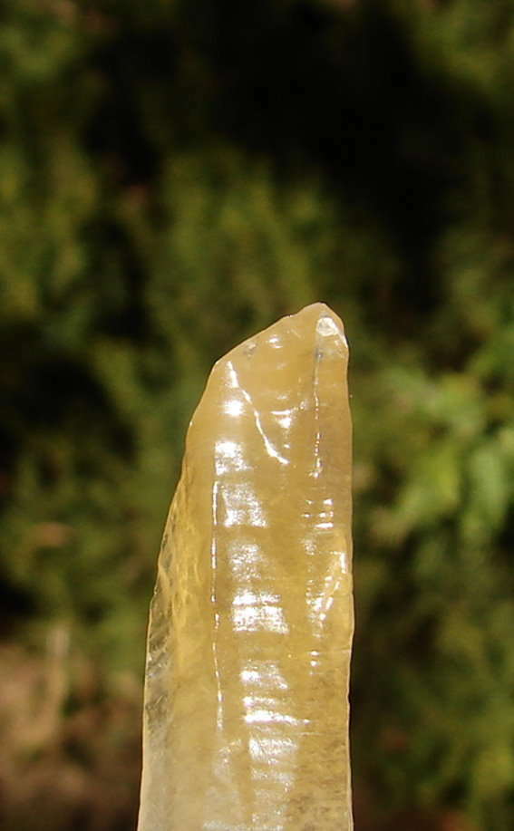 EXTREMLY RARE LIGHT FILLED ELESTIAL MOLDAVITE CALCITE RECORD KEEPER