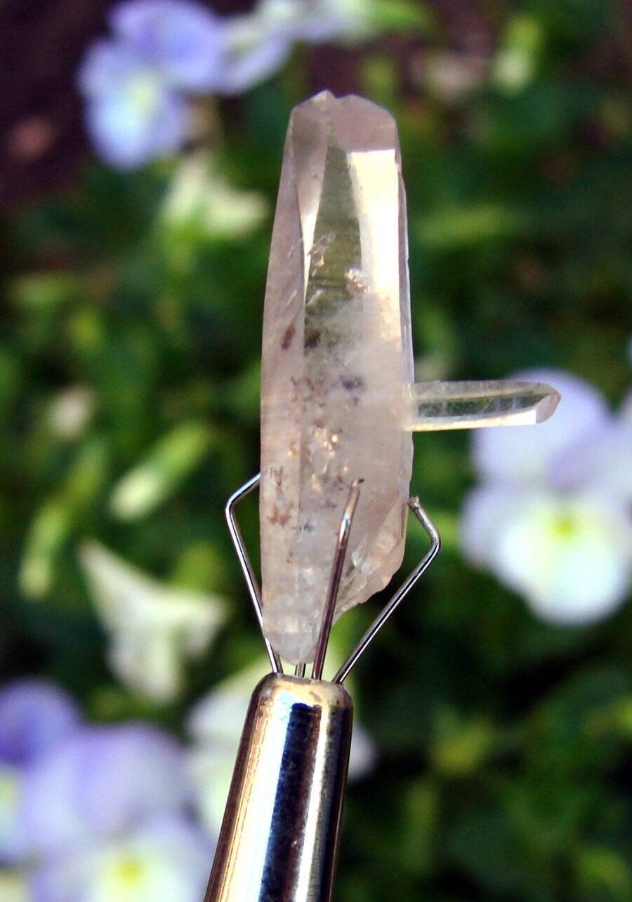 EXQUISITE DESTINY QUARTZ AMETHYST SCEPTER LA GARITA QUARTZ PENETRATOR DOLPHIN 1