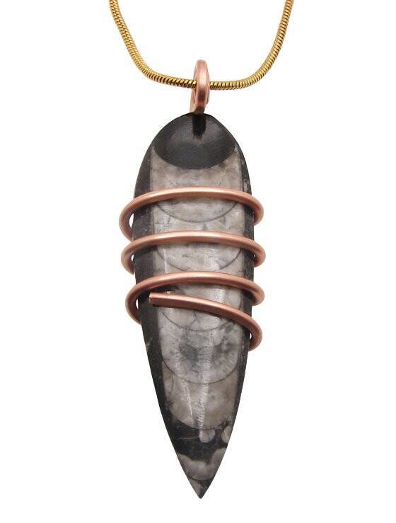 Shadow Hunters of Deep Sea Moroccan Pendant Paleozoic Orthoceras Science Gift #2