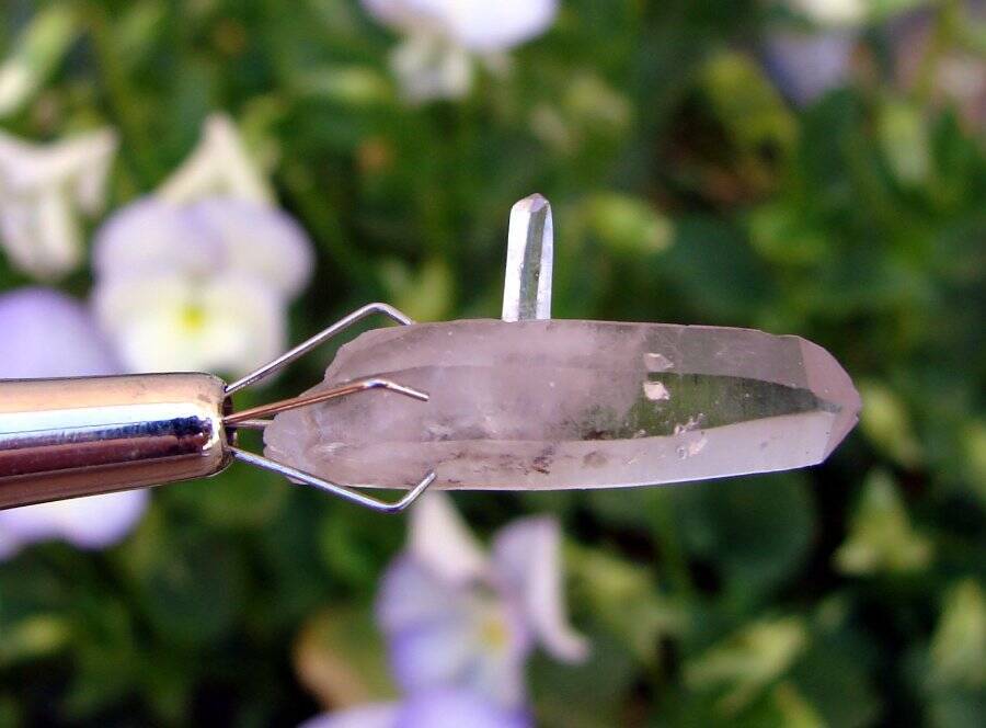 EXQUISITE DESTINY QUARTZ AMETHYST SCEPTER LA GARITA QUARTZ PENETRATOR DOLPHIN 1